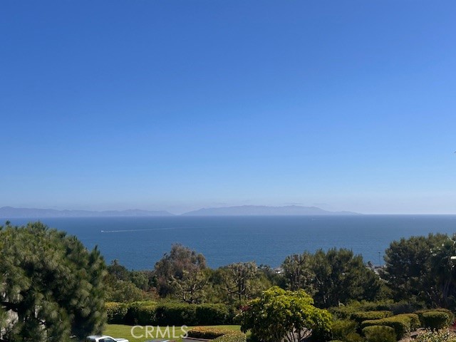 2235 W 25th Street, San Pedro CA: https://media.crmls.org/medias/1e6d3584-e98d-46a8-aeb3-c0336149b6e6.jpg