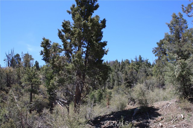 Detail Gallery Image 11 of 55 For 615 Kean Way, Big Bear City,  CA 92314 - – Beds | – Baths
