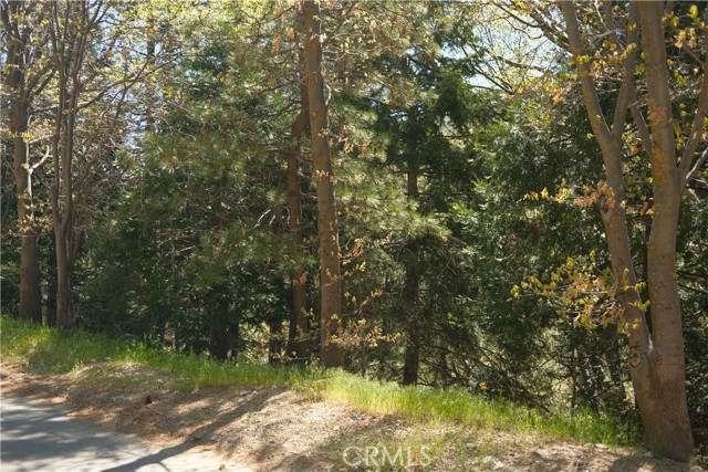 0 Thunderbird Drive, Lake Arrowhead CA: https://media.crmls.org/medias/1e7c713d-b71c-4c35-8681-7507a78618a7.jpg