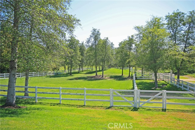 Detail Gallery Image 56 of 57 For 22 Palomino, Coto de Caza,  CA 92679 - 7 Beds | 7/1 Baths