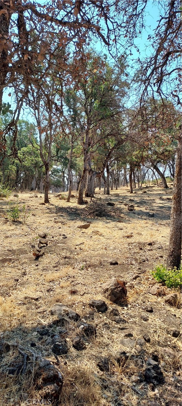 16034 13th Avenue, Clearlake CA: https://media.crmls.org/medias/1e8766f0-2102-4475-a19f-08c386475936.jpg