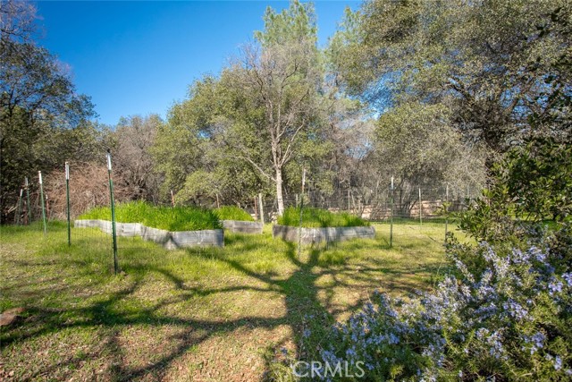 Detail Gallery Image 39 of 74 For 1718 Robinson Mill Rd, Bangor,  CA 95914 - 3 Beds | 2/1 Baths