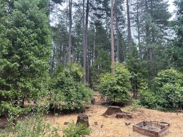 14884 Del Oro Drive, Magalia CA: https://media.crmls.org/medias/1e9692ea-8961-4c59-9389-845ed4b6d7de.jpg