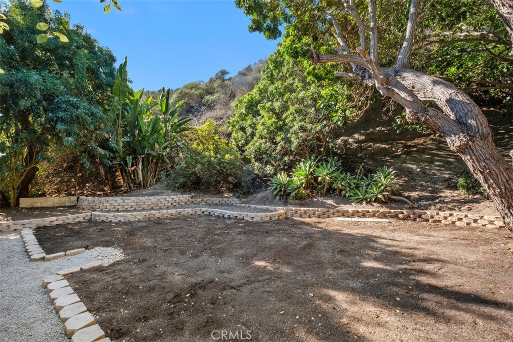 MLS #OC25252846 image #6