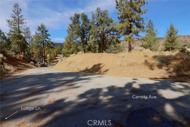 0 Carreta, Frazier Park CA: https://media.crmls.org/medias/1ea193d7-e462-42eb-8d48-97685156b740.jpg