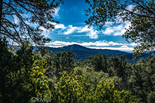 Detail Gallery Image 38 of 72 For 5333 Wilderness View Dr, Mariposa,  CA 95338 - 2 Beds | 2 Baths
