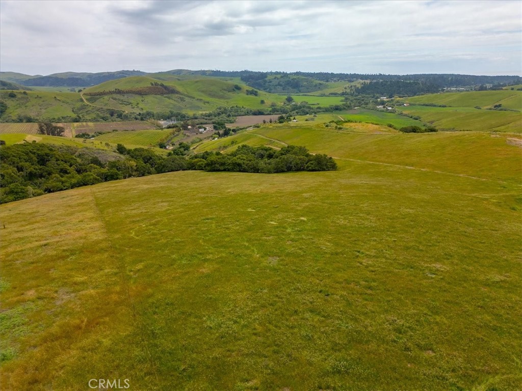 MLS #PI25041316 image #18