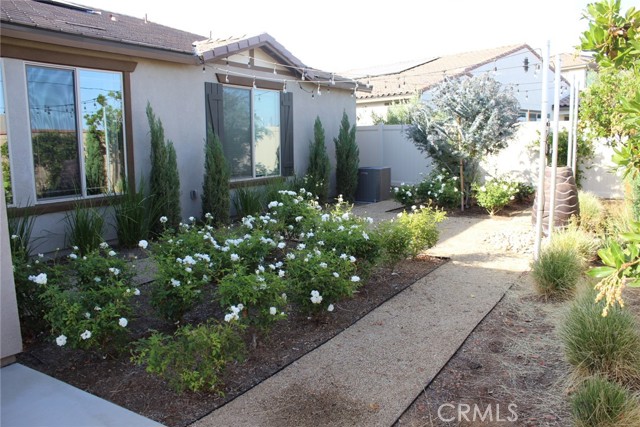 Rear Yard View