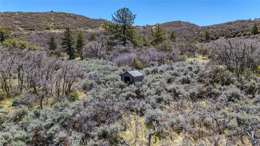 MLS #PI25088989 img 10