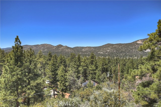 Detail Gallery Image 43 of 50 For 541 S Marlowe Dr, Big Bear City,  CA 92314 - 2 Beds | 1/1 Baths