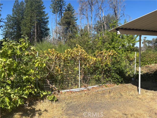Detail Gallery Image 1 of 21 For 1996 Bald Rock Rd, Berry Creek,  CA 95916 - – Beds | – Baths