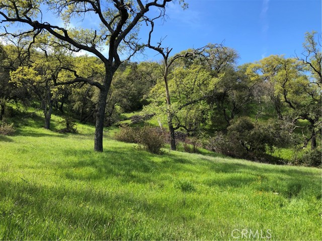 Detail Gallery Image 7 of 12 For 777 Tepusquet Rd, Santa Maria,  CA 93454 - – Beds | – Baths