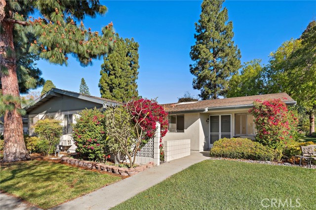 Front Image Thumbnail for CROC26057451