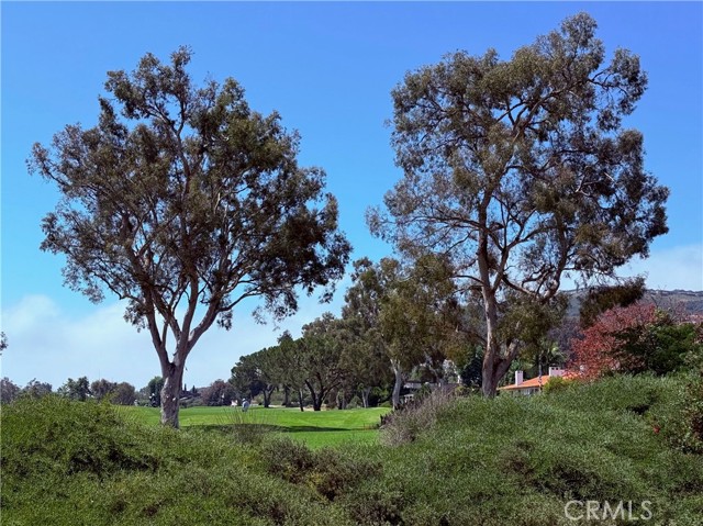 Detail Gallery Image 1 of 35 For 30411 Mirador Court, Laguna Niguel,  CA 92677 - 4 Beds | 4 Baths