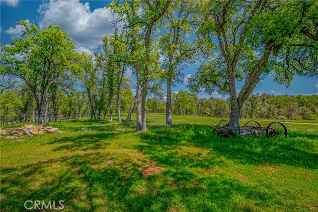 Detail Gallery Image 7 of 54 For 5857 Schilling, Coulterville,  CA 95311 - 3 Beds | 2 Baths