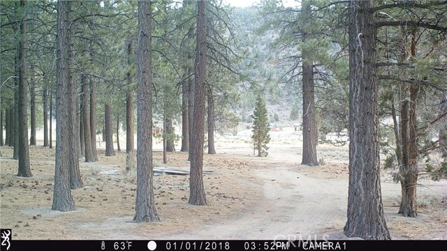 2818 Erwin Ranch Road, Big Bear City, California 92314, ,Land,For Sale,2818 Erwin Ranch Road,CRIV18216013