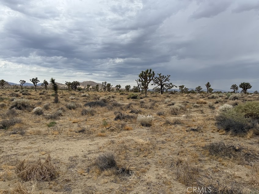 MLS #SR26165095 image #54