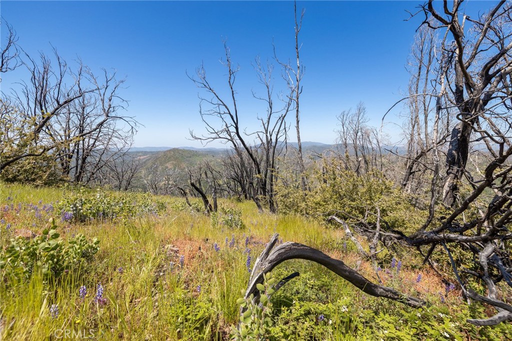 MLS #MP25088475 image #55