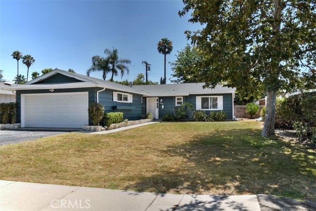 Front yard, grass in the summer