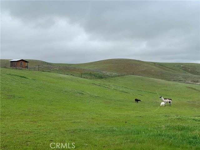 3150 Bluegrass Place, Creston CA: https://media.crmls.org/medias/1ebd1da9-64fd-48c7-a2ba-b735420cc590.jpg