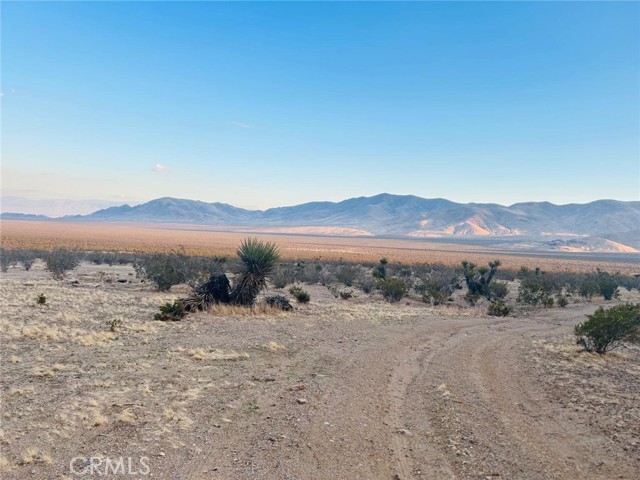 Detail Gallery Image 6 of 13 For 0 Lucerne Valley Cut off, Lucerne Valley,  CA 92356 - – Beds | – Baths