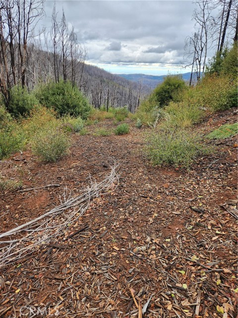 Detail Gallery Image 7 of 8 For 0 Oro-Quincy, Berry Creek,  CA 95916 - – Beds | – Baths