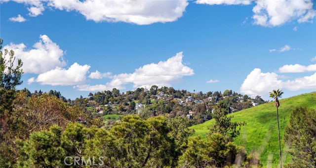 784 Montecito Drive, Los Angeles, California 90031, ,Land,For Sale,784 Montecito Drive,CRSB24051110