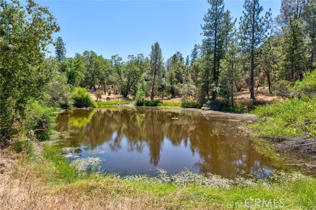 Detail Gallery Image 44 of 55 For 57270 Thunder Way, North Fork,  CA 93643 - 3 Beds | 2 Baths