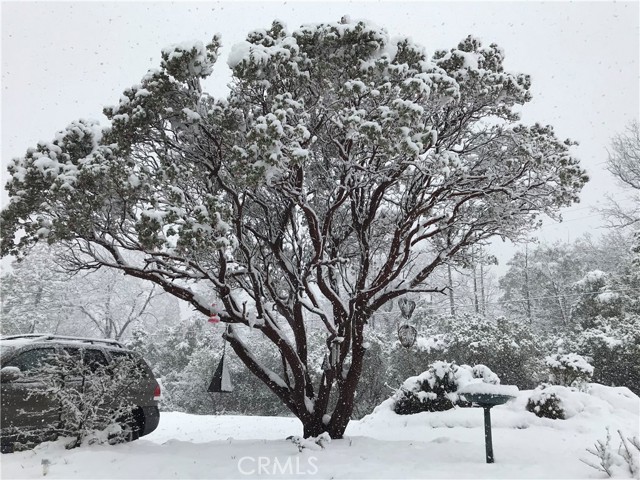Detail Gallery Image 63 of 67 For 39468 Summit Dr, Oakhurst,  CA 93644 - 4 Beds | 3 Baths