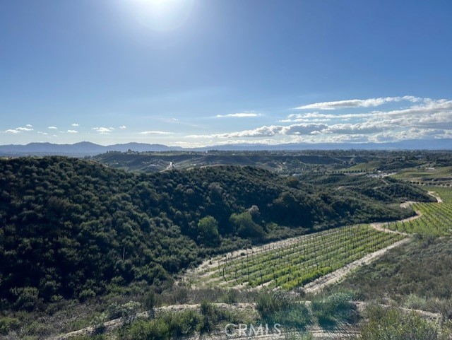 0 Chaparral Dr, Temecula CA: https://media.crmls.org/medias/1ed23554-93af-4cec-8e43-92e677d82488.jpg