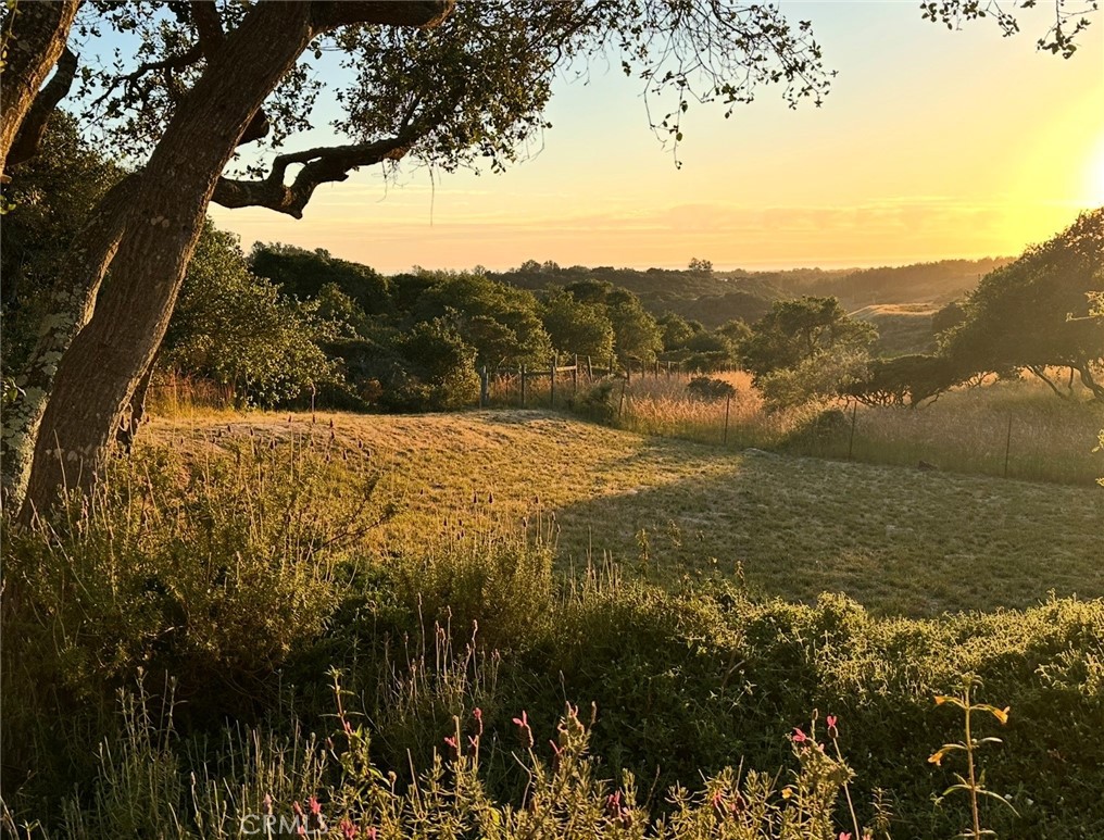 https://media.crmls.org/medias/1eda7038-ed1b-4e99-8836-bc63aec16044.jpg?preset=X-Large