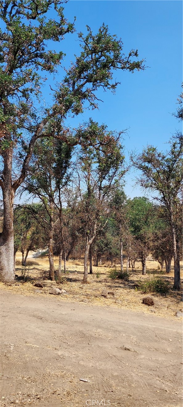 16034 13th Avenue, Clearlake CA: https://media.crmls.org/medias/1edb6299-5c02-4839-840f-849881f19fd1.jpg