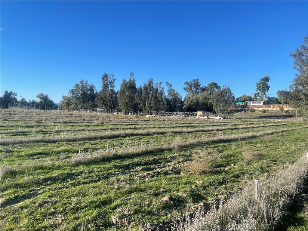 MLS #WS25276306 image #16