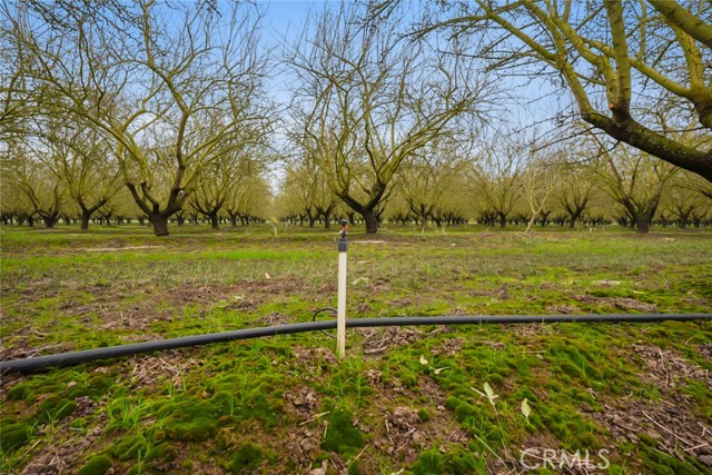 Detail Gallery Image 36 of 47 For 16221 Carrolton, Escalon,  CA 95320 - – Beds | – Baths