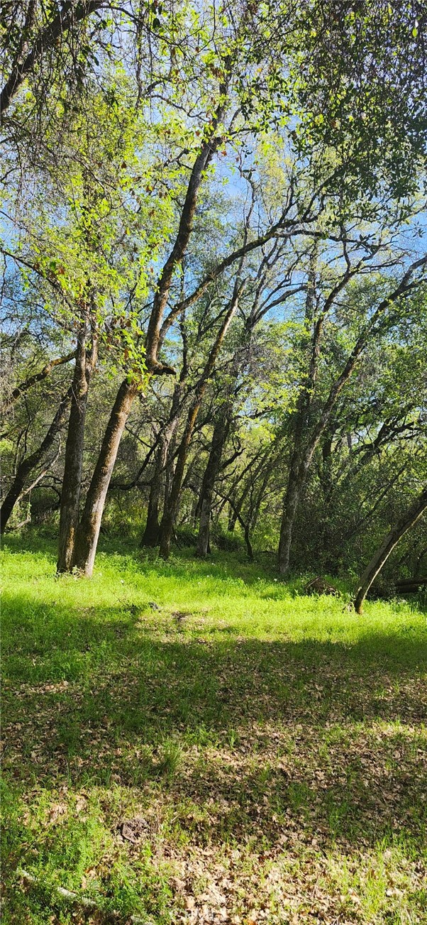 Detail Gallery Image 10 of 23 For 13566 Helltown Parcel 1, Chico,  CA 95928 - – Beds | – Baths