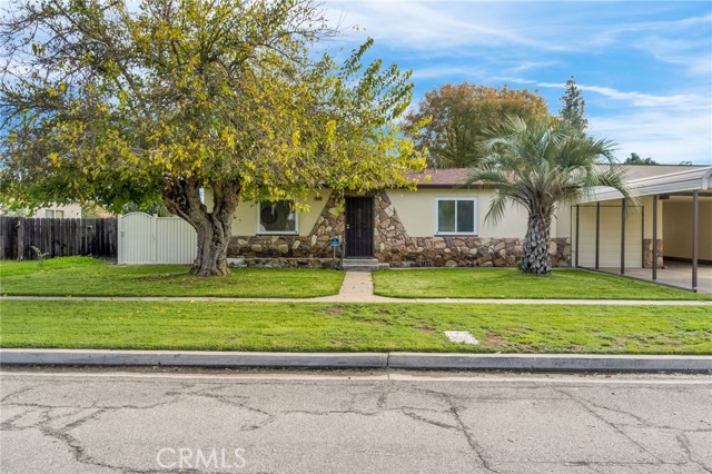 Front Image Thumbnail for CRFR25260368