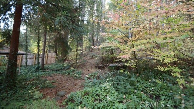 Detail Gallery Image 20 of 21 For 15815 Bottle Rock, Cobb,  CA 95426 - 2 Beds | 1 Baths