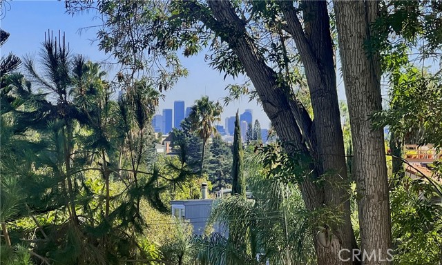 5924 Graciosa Drive, Los Angeles CA: https://media.crmls.org/medias/1eef340f-ea3a-4a7b-996a-a6bcf97dbbf0.jpg
