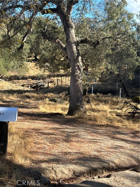 Detail Gallery Image 57 of 59 For 28923 Highway 41, Coarsegold,  CA 93614 - 3 Beds | 3 Baths