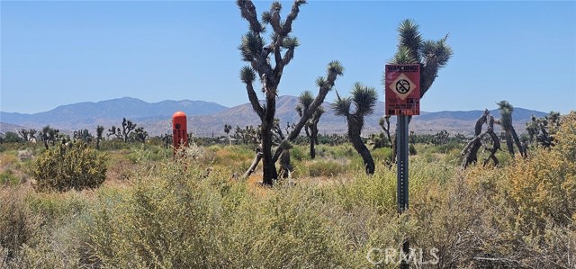 Detail Gallery Image 8 of 12 For 0 E Palmdale Bld, Palmdale,  CA 93550 - – Beds | – Baths