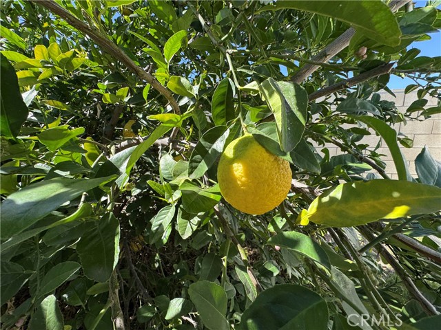 Detail Gallery Image 35 of 45 For 27101 Comwell, Menifee,  CA 92586 - 3 Beds | 2 Baths