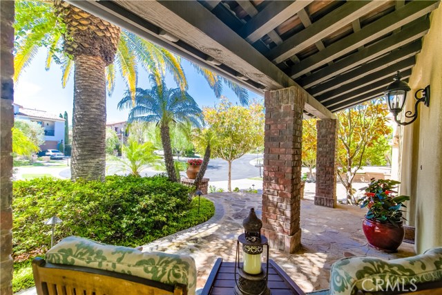 19 Coastal Oak