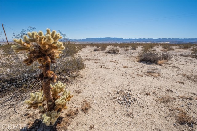 Detail Gallery Image 19 of 33 For 67722 Pole Line Rd, Twentynine Palms,  CA 92277 - 1 Beds | 1 Baths