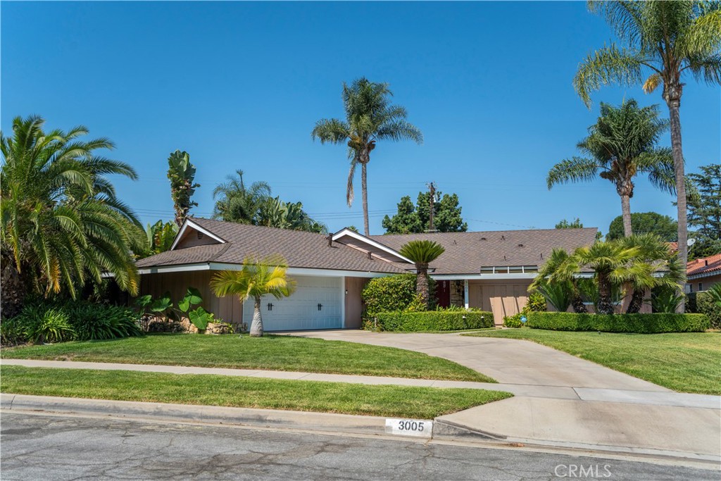 3005 Leticia Drive