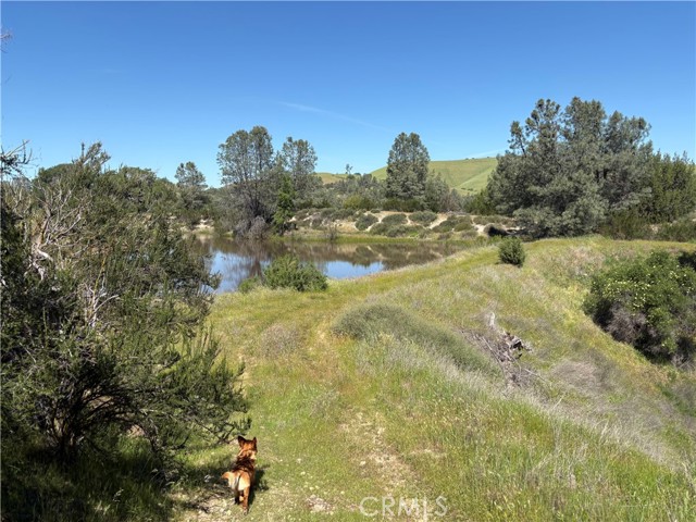 Detail Gallery Image 5 of 5 For 705 Calf Canyon, Creston,  CA 93432 - 1 Beds | 1 Baths