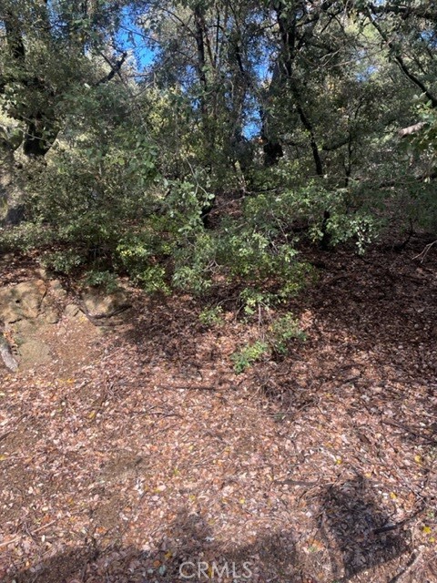 21 Arosa, Crestline, CA, 92325 21 Arosa, Crestline, CA, 92325