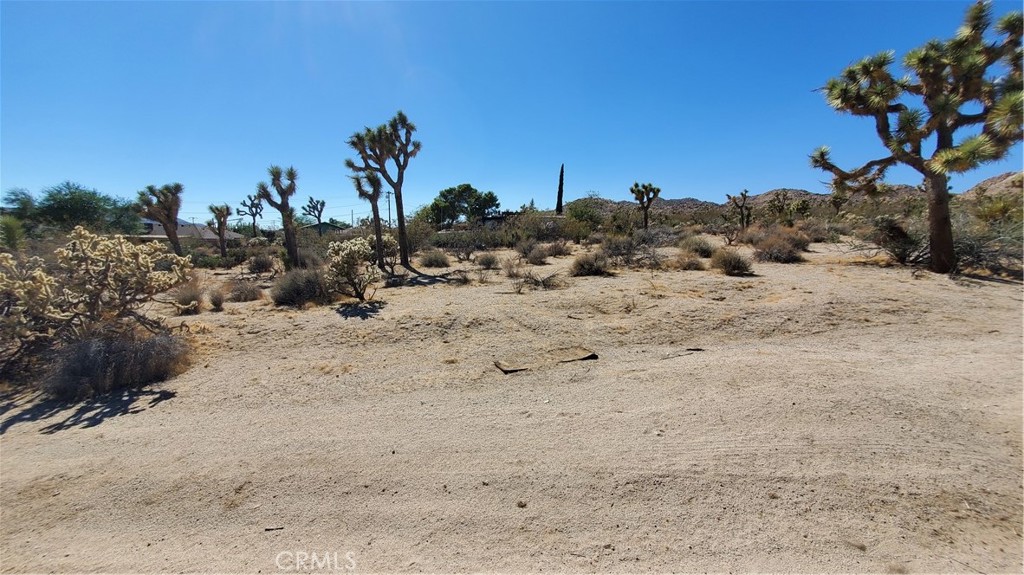 MLS #JT25207371 image #1