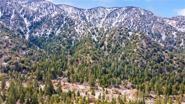 Detail Gallery Image 31 of 33 For 41524 Alder Dr, Forest Falls,  CA 92339 - 2 Beds | 2 Baths