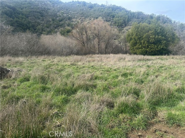 Detail Gallery Image 6 of 13 For 9000 Scotts Valley Rd, Upper Lake,  CA 95485 - – Beds | – Baths