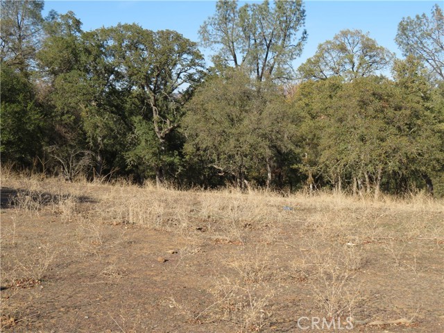 3465 Foothill Boulevard, Oroville, California 95966, ,Land,For Sale,3465 Foothill Boulevard,CROR23208825